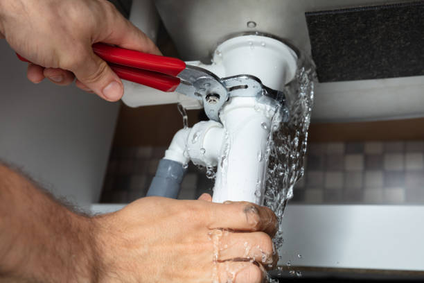 Best Flood restoration services  in Riverton, IL