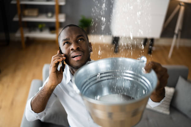 Best Flood restoration services  in Riverton, IL