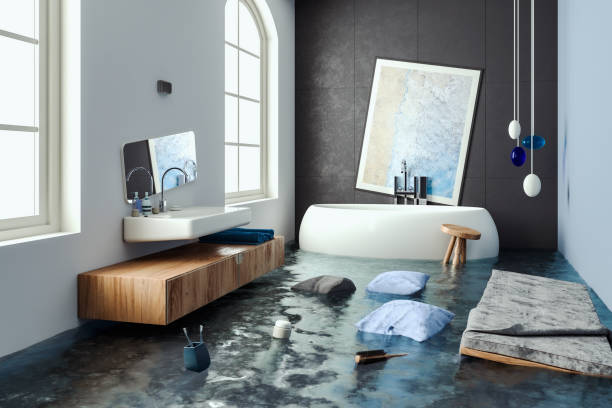 Best Professional water damage repair  in Riverton, IL