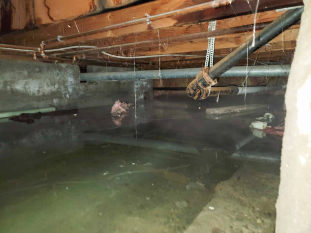 Best 24/7 water damage repair  in Riverton, IL