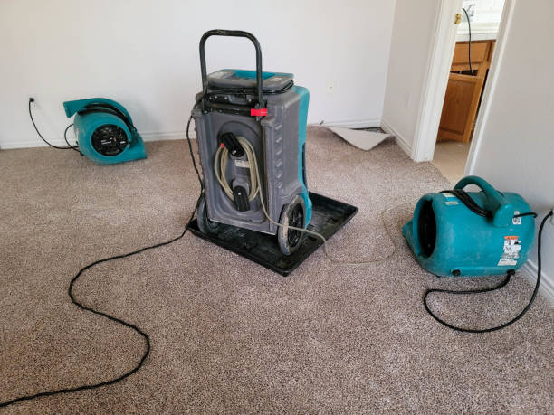Best Water damage cleanup near me  in Riverton, IL