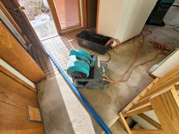Best Basement water damage restoration  in Riverton, IL