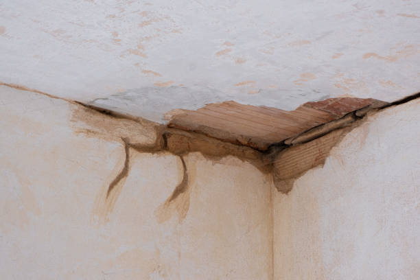 Trusted Riverton, IL Water damage restoration Experts