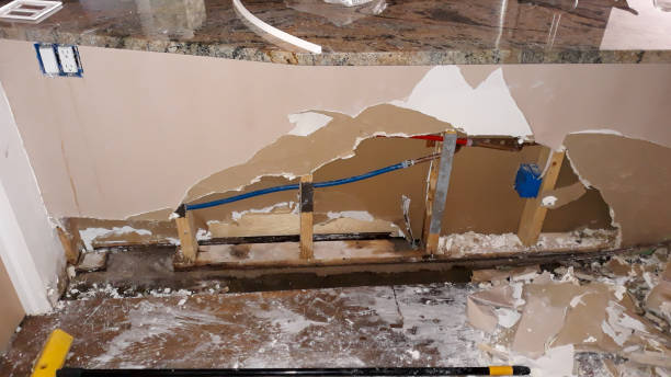 Best Residential water damage restoration  in Riverton, IL