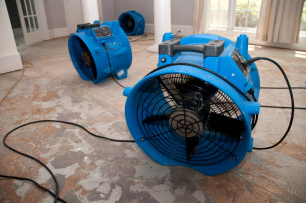 Best Fire Damage Restoration  in Riverton, IL