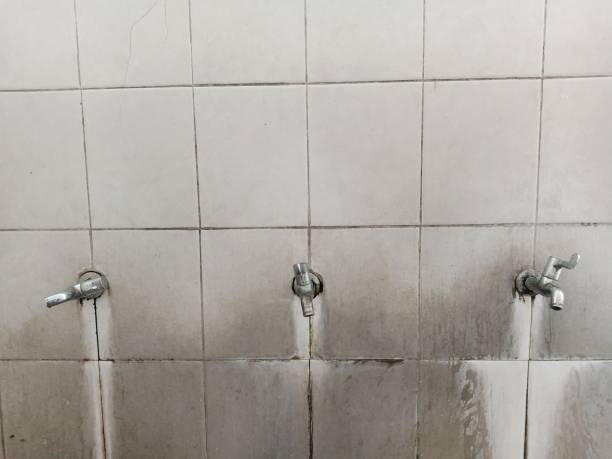 Best Carpet water damage restoration  in Riverton, IL