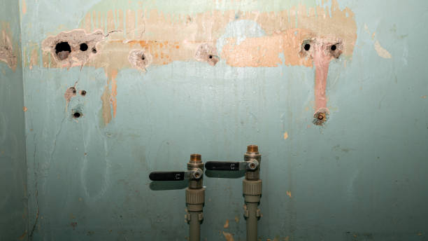 Best Ceiling water damage repair  in Riverton, IL