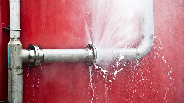 Best Water damage contractors near me  in Riverton, IL